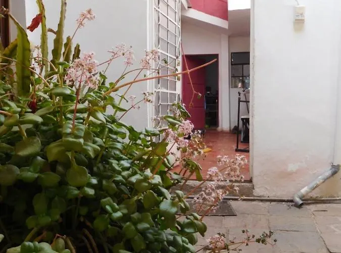 Hostel Mala Hierba Lgbt Place Cusco